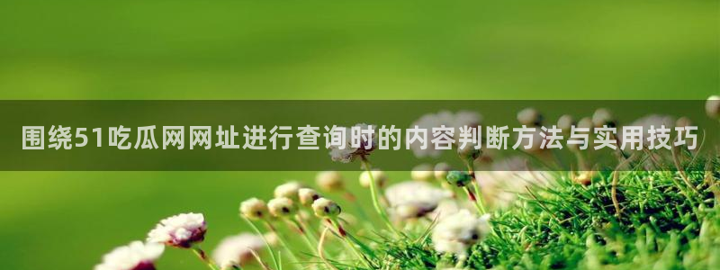 黑料吃瓜在线：围绕51吃瓜网网址进行查询时的内容判断方法与实用技巧