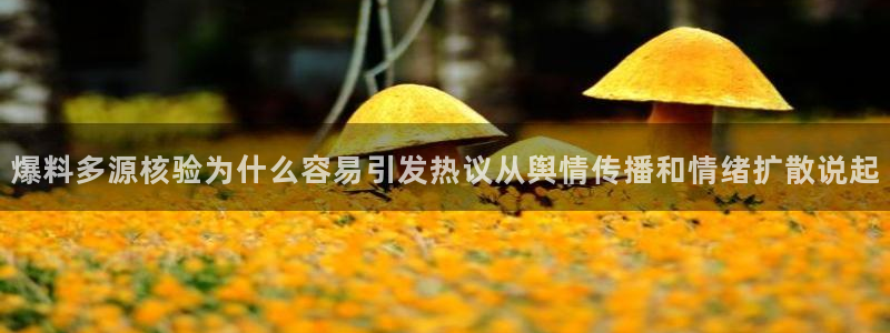 58吃瓜网：爆料多源核验为什么容易引发热议从舆情传播和情绪扩散说起