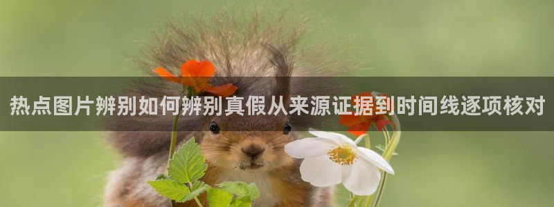 国产吃瓜在线:热点图片辨别如何辨别真假从来源证据到时间线逐项核对