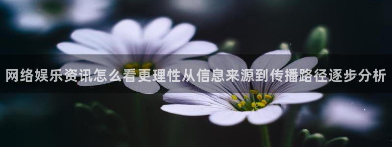 九一吃瓜:网络娱乐资讯怎么看更理性从信息来源到传播路径逐步分析
